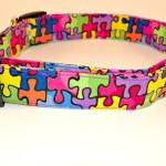 Autism Awareness Dog Collar - Xl..