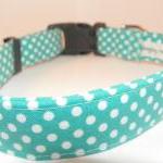 Xs Tiffany Blue Dog Collar - Turquoise With White..