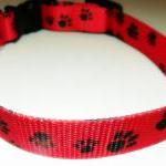 Dog Collar, Red With Black Pawprints Size Medium..