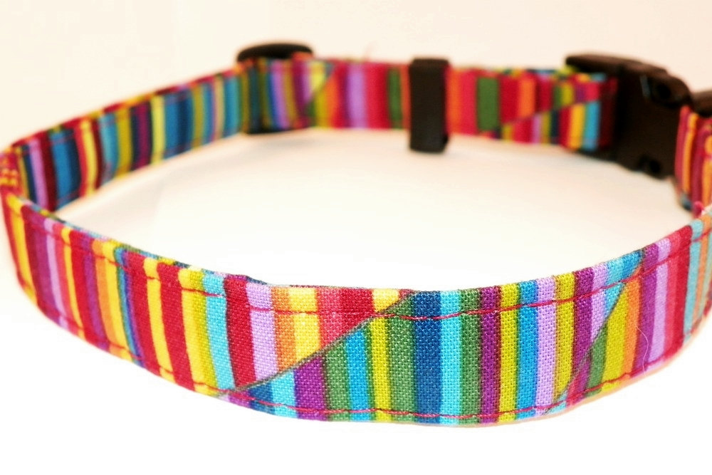 Adjustable Dog Collar - Bright Rainbow Swirls & Stripes Size Xl 17-29"