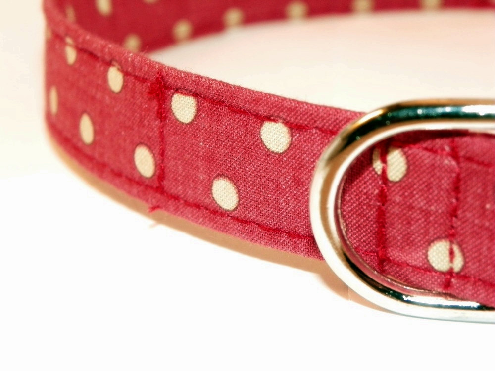 Adjustable Dog Collar - Red With Ivory White Polka Dots Size Xl 17-29"